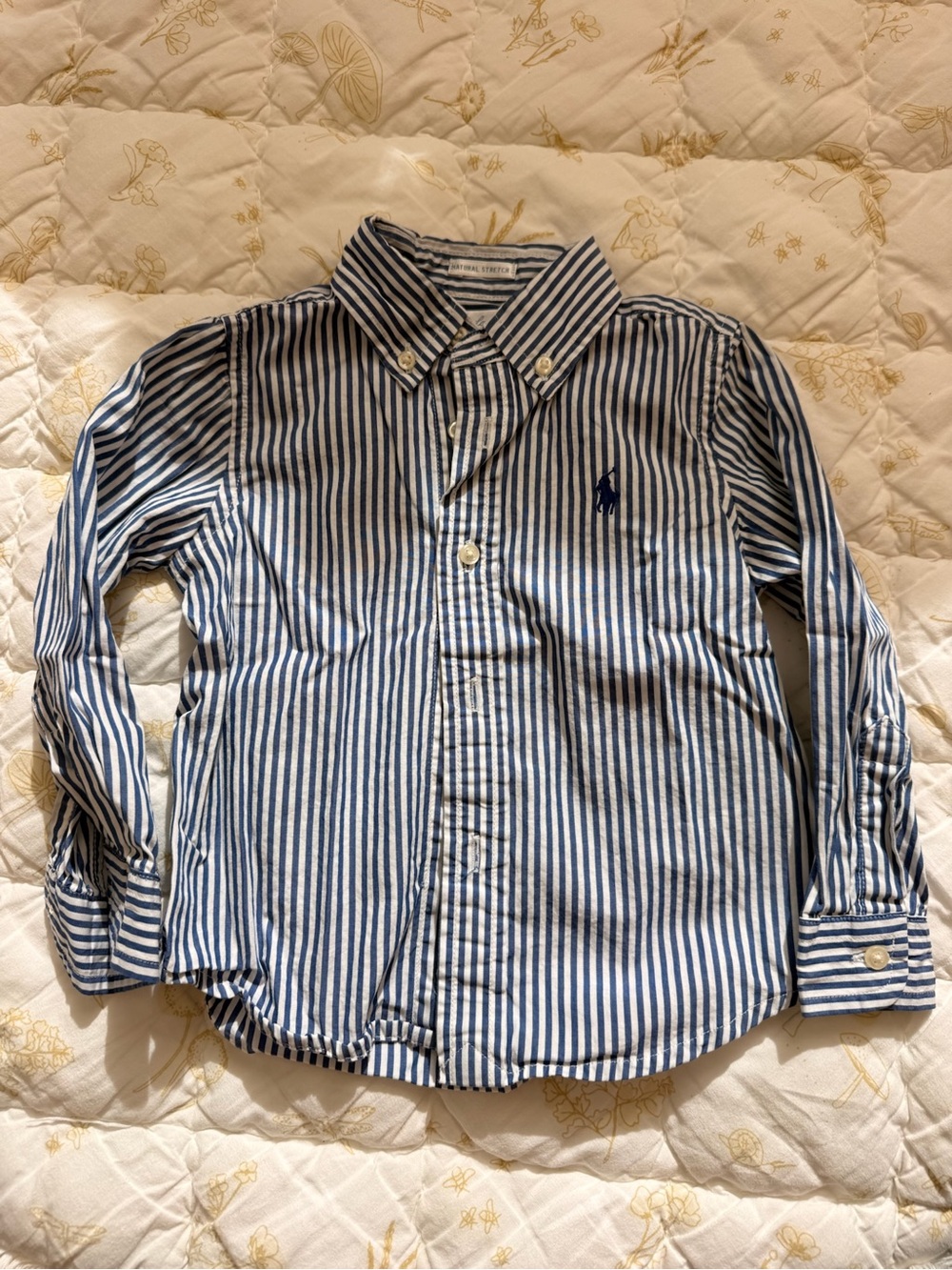 Ralph Lauren Blue and White Striped Oxford Shirt
